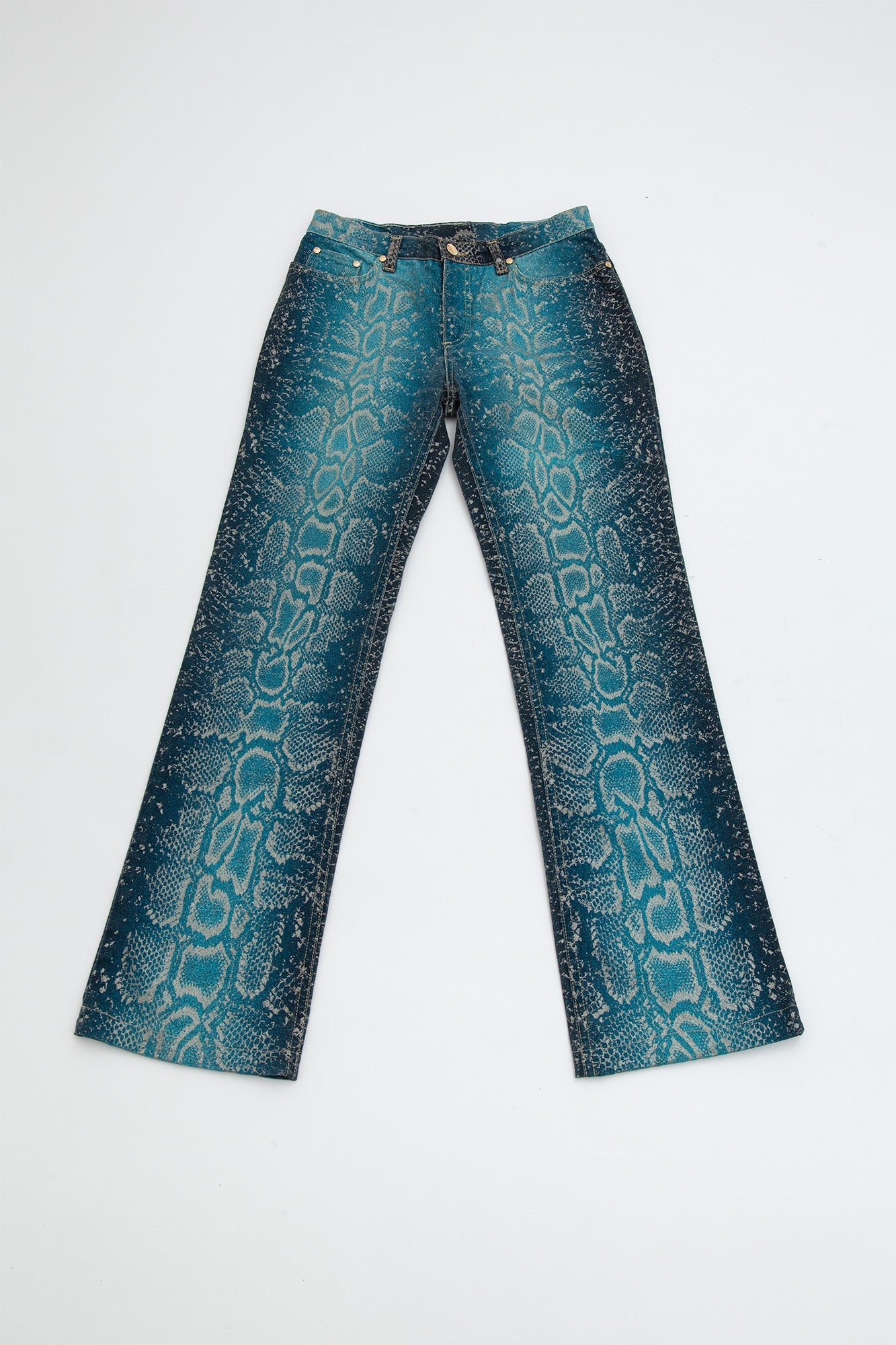 Roberto Cavalli Gradient Silver Snake