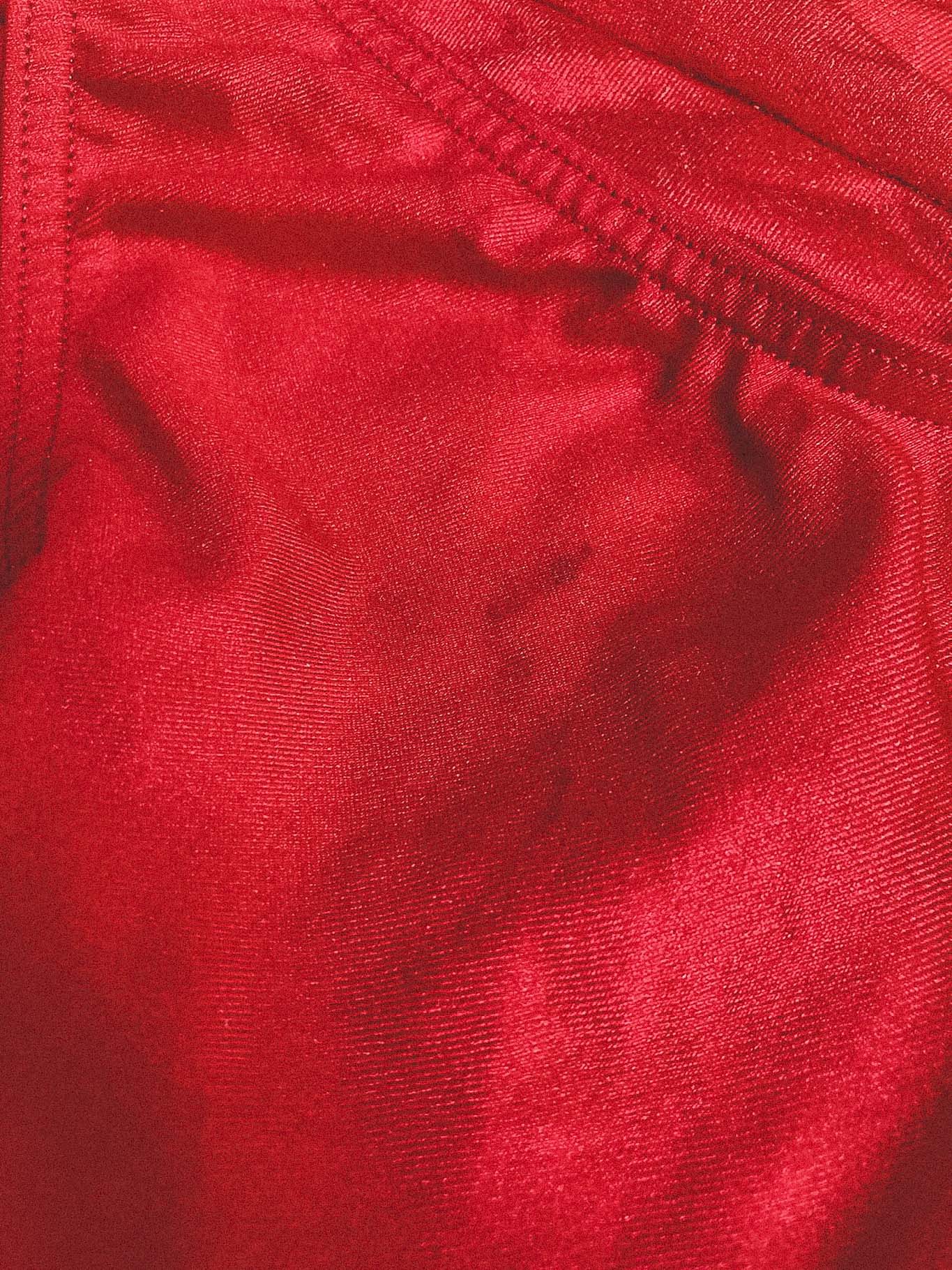 Red Gold Gourmet Printed Swim