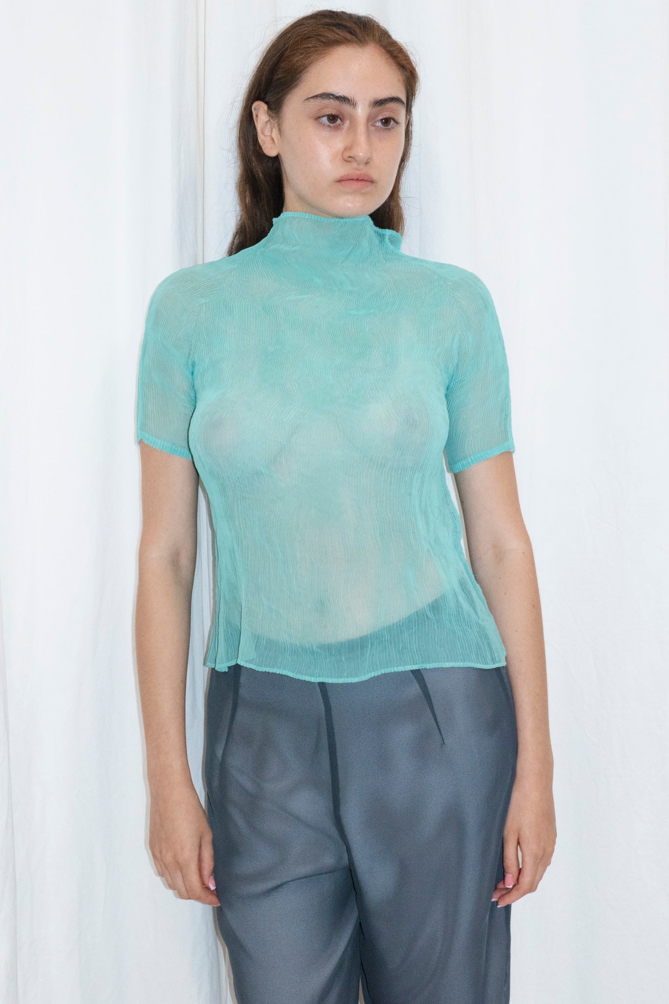 TURTLENECK SHEER PLEAT TOP